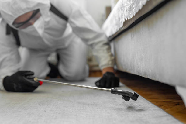 Professional Bed Bug Control technician working in Walnut Creek, CA