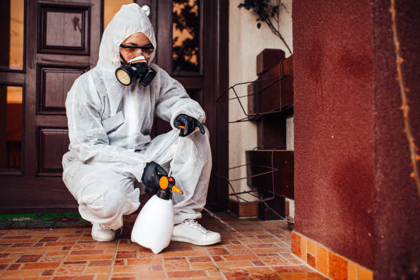 Reliable Bed Bug Control contractor in Walnut Creek, CA by Nex Pest Control