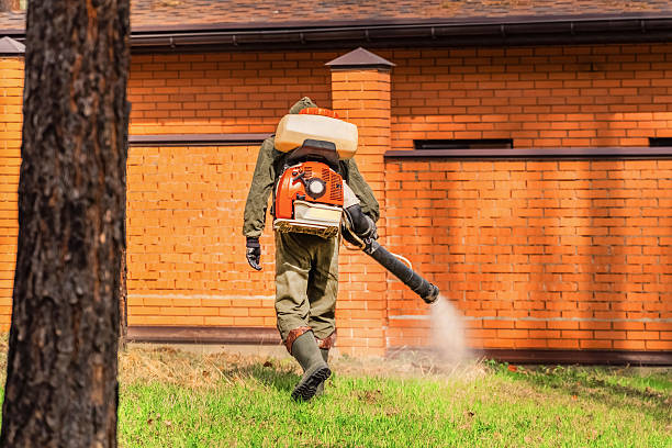 Trusted Mosquito Control service in Walnut Creek, CA - Nex Pest Control